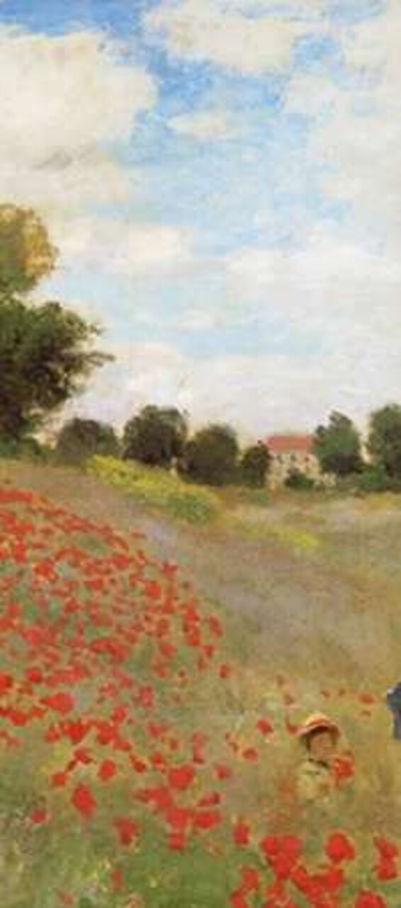 Field Of Poppies 1873 Poster Print by Claude Monet - Item # VARPDX394136